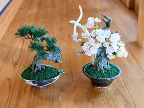 HAKONE ART BONSAI 5
