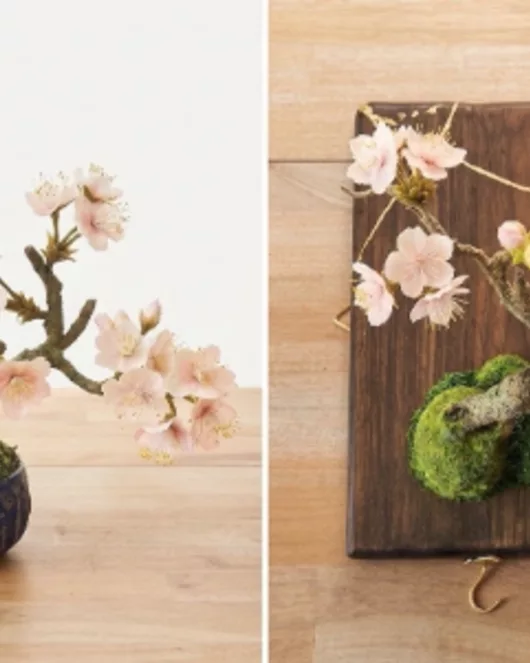 Artbonsai workshop basicプラン 桜盆栽