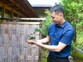 HAKONE ART BONSAI 4