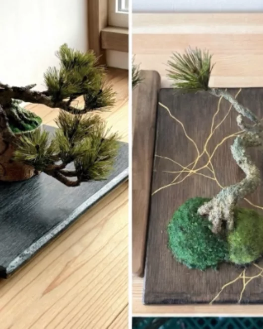 Artbonsai workshop basicプラン 松盆栽