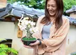 HAKONE ART BONSAI 3
